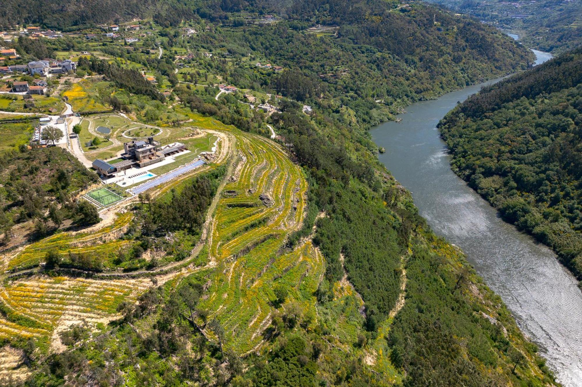 Quinta De Cabanas Douro Country House Penha Longa Ngoại thất bức ảnh