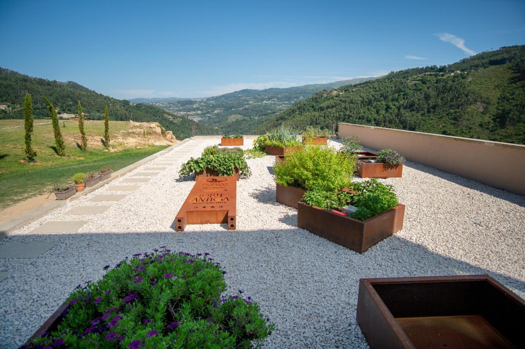 Quinta De Cabanas Douro Country House Penha Longa Ngoại thất bức ảnh